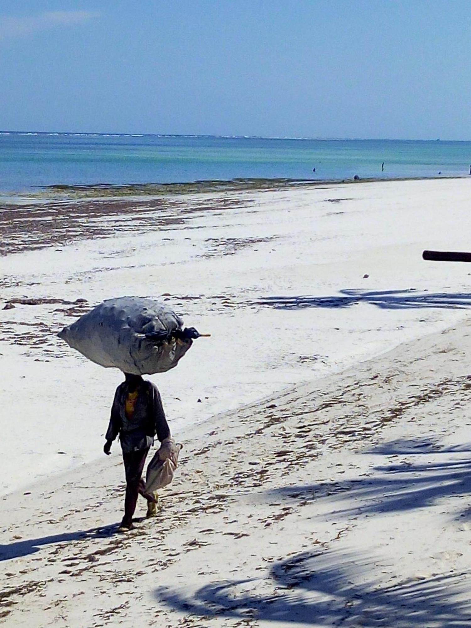 Aqua Resort Diani Beach Εξωτερικό φωτογραφία